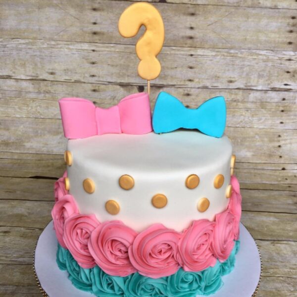 Gender Reveal Party